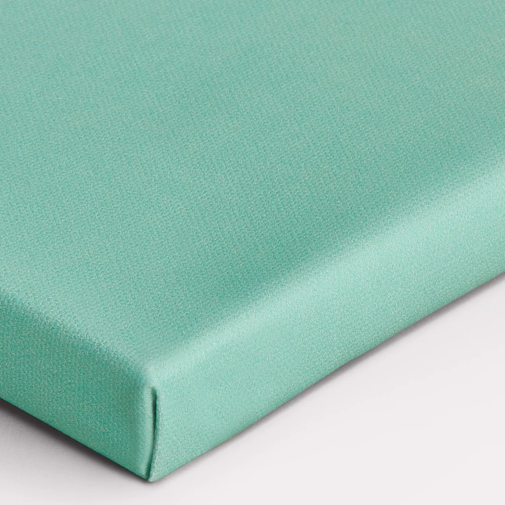 Canvas in baklijst