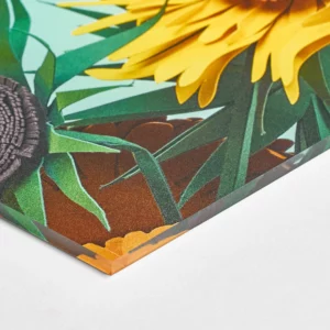 Plexiglas 5mm